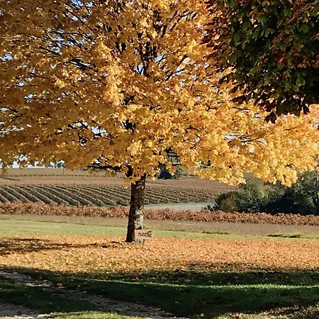 Le Mas, D'hotes, Bed & Breakfast Verrieres (Charente)